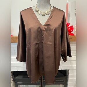 Brown V-Neck Blouse